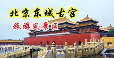 大鸡吧插入视频中国北京-东城古宫旅游风景区